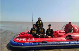 公司东滩保安队被授予“2019年度上海市绿化市容行业 劳动立功竞赛先进集体”荣誉称号