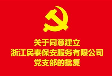 关于同意建立浙江民泰保安服务有限公司党支部的批复